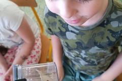 IMG_20240509_093457