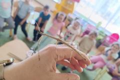 IMG_20240509_093903