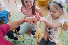 IMG_20240509_093934