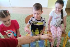 IMG_20240509_093958