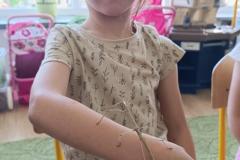 IMG_20240509_094506