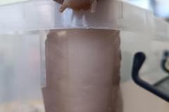 IMG_20240509_094516