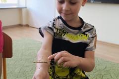IMG_20240509_094639