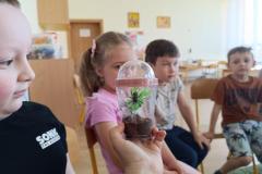 IMG_20240509_094821