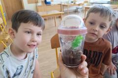 IMG_20240509_094827