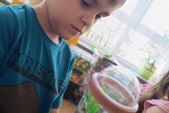 IMG_20240509_094911