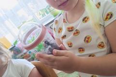 IMG_20240509_095004