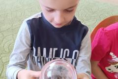 IMG_20240509_095011