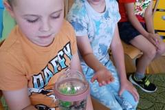 IMG_20240509_095048