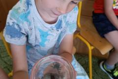IMG_20240509_095052