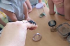 IMG_20240509_095451