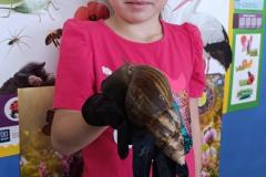 IMG_20240509_100402