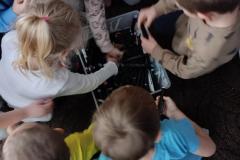 IMG_20241115_121320