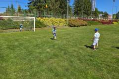 IMG-20260625-WA0061