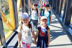 received_917132212703544