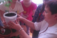 pL3ZsxTEA9384