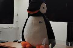 IMG-20221026-WA0054
