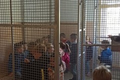 IMG_20221026_104130