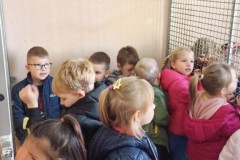 IMG_20221026_104140