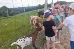 received_1092106658546460