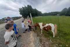 received_1493889291245062