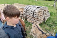 IMG_20250527_143350