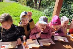 20231012_105647-Copy