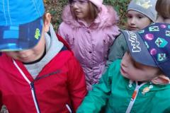 IMG20231012093021