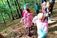 IMG20231012103908
