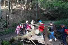 received_772792914605149