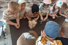 IMG-20240619-WA0037-Copy