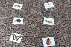 IMG-20240607-WA0075