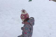 IMG_7685