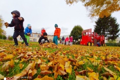 IMG_20201029_182026