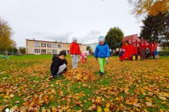 IMG_20201029_182102