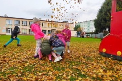 IMG_20201029_182455