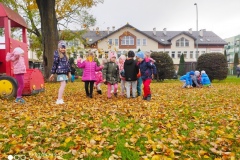 IMG_20201029_182701
