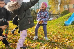 IMG_20201029_184316