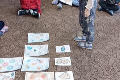 IMG_20241119_090512