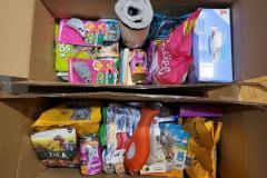 20250217_174511-Copy