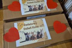 Messenger_creation_964C7983-0654-4C44-9DCC-497AFF250F20-Copy