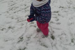20210113_093726_copy_2400x3200