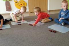 IMG_20251021_091113