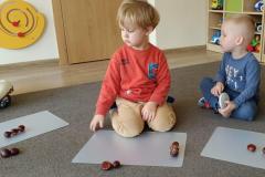 IMG_20251021_091544